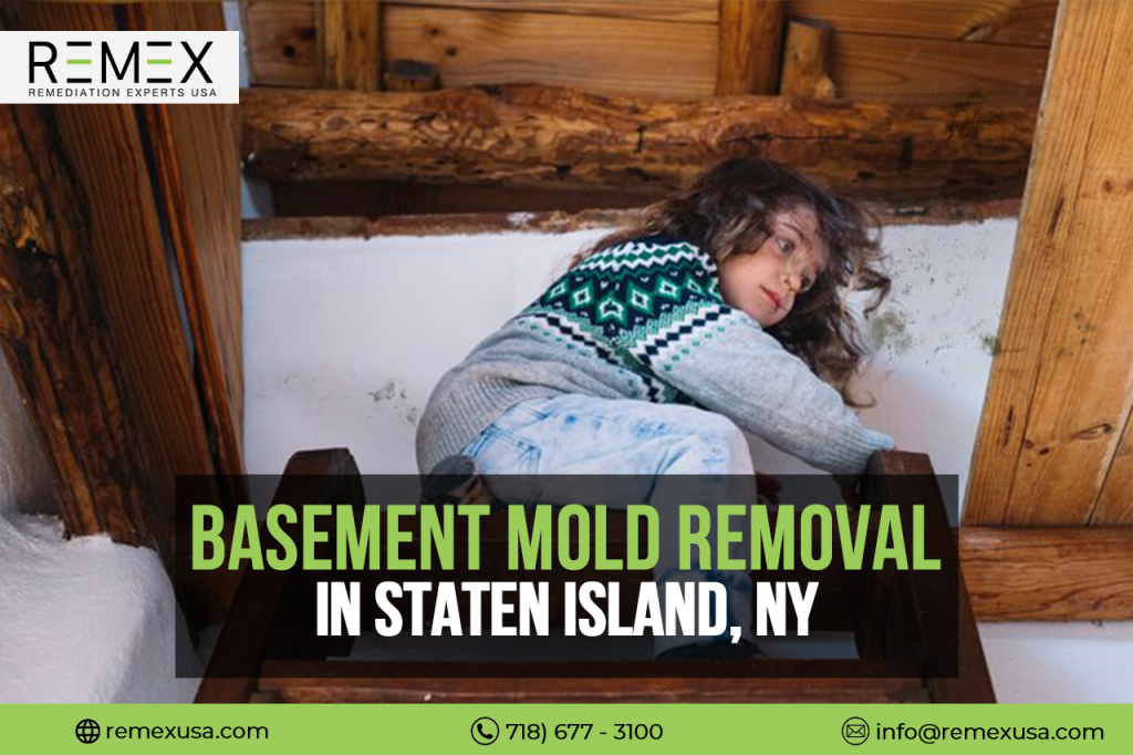 Young child sitting in a wooden basement, looking at mold on the wall, with text 'Basement Mold Removal in Staten Island, NY' by Remex USA.