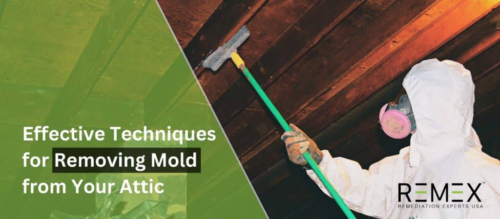 A professional in protective gear removing mold from an attic, highlighting effective techniques for removing mold from your attic.
