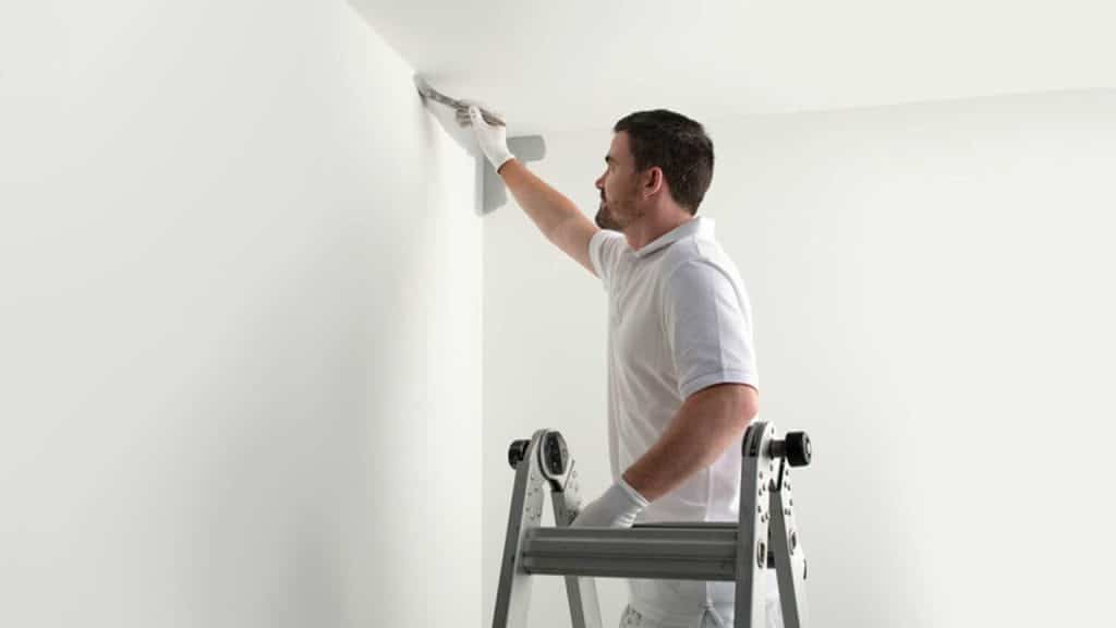 Remove Mold from Painted Walls: A Step-by-Step Guide