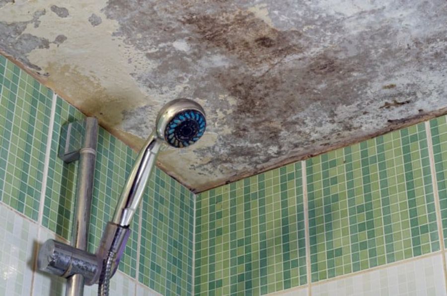 Best Methods to Remove Mold from Bathroom Ceilings and Keep It Away