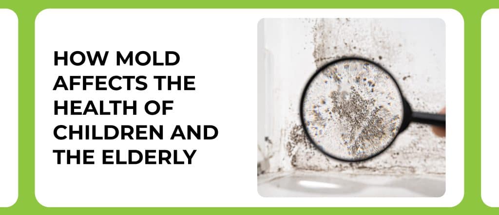 how-mold-affects-health